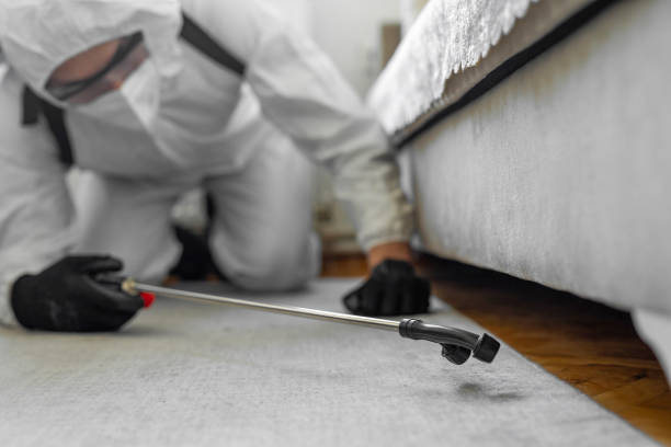 Professional Bed Bug Control technician working in Moffat County County, CO